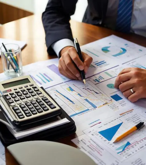 Timely Tax & VAT Filing Services